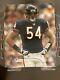 Brian Urlacher (chicago Bears) Signed 8x10 With Coa