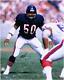 Mike Singletary Chicago Bears Signed 16 X 20 Navy Vertical Photo