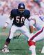 Mike Singletary Chicago Bears Signed 8 X 10 Navy Vertical Photo